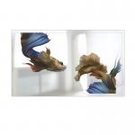 Wall Mounted 43 Inch Android Lcd Advertising Player With Aluminum Shell for sale