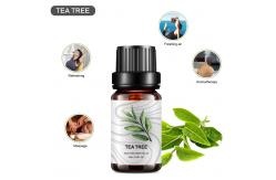 China Pure Bulk Tea Tree Essential Oil 10ml Diffuser Aromatherapy Essential Oil COA supplier