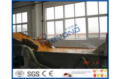 China Energy Saving Orange Processing Line with Glass / PET Bottle Filling Machine supplier
