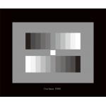 3nh YE083 ITE Resolution Test Chart 11 Graduated Gray Scale For Electronic Cameras for sale