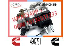 China Neutral Fuel Diesel Injection Pump 2872930 3977327 4902731 For Cummins ISLE Engine supplier