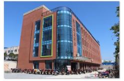 China Metallized Alumina Ceramics manufacturer