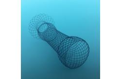 China CE Certificated Esophageal Stent System Implant Materials & Artificial Organs supplier