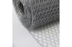 China Stainless Steel Bwg14 Hexagonal Chicken Wire Mesh 10x0.5m For Poultry supplier