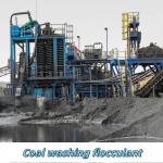 Coal Washing Plant Flocculant Powder Chemical Polyacrylamide PAM for sale