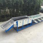 6.5kw Apple Dates Lemon Mango Fruit Grading Machine for sale