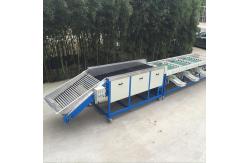 China Cherry Selecting Apricot Sorting Fruit Selecting Machine supplier
