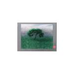 TM059JVHC04 5.9 inch 720*1520 LCD Screen Display Module for sale