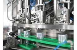 China Automatic Beer Cans Rinser Filler Seamer 250ml Beverage Can Filling Machine supplier