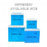 Ice Packs Included Transport Temperature Control VIP Insulation Cold Box for sale