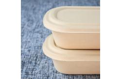 China Greaseproof Oval Biodegradable Bagasse Tableware Bento Box For Salad supplier