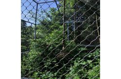 China Stainless Steel Wire Rope Mesh Net / Flexible Stainless Steel Rope Mesh / Zoo Mesh supplier