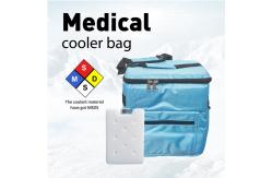China Medication Insulated Soft Cooler Bag Diabetic 15L Cold Box And Vaccine Carrier supplier