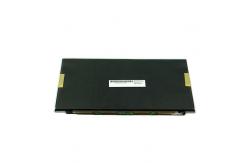 China LT131EE12000 13.1 inch 262K LVDS LCD Screen panel supplier
