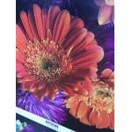 240g Inkjet Printable Canvas for sale