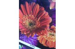 China 240g Inkjet Printable Canvas supplier