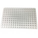 50 120 160 200 Cavities Floating EPS Foam Material Seed Tray EPS 160 Holes Seedling Tray for sale