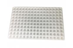 China Floating EPS Foam Plastic Seedling Tray Recycled 160 Round Cell Seed Tray supplier