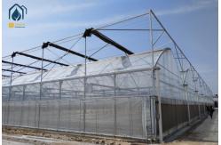China Modern Multispan Greenhouse Flower Growing With Automatic Control System supplier
