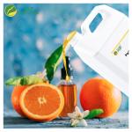 Orange Perfume Oil Fragrance Long Lasting Perfume Autumn Perfume Fragrance for sale