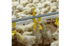 China 100mm Chicken Nipple Drinker System supplier
