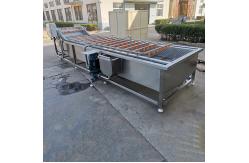 China Automatic Carrot Chilli 1200kg/H Vegetable Bubble Washing Machine supplier