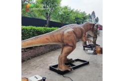 China Small Size  4M Waterproof Allosaurus Animatronic Exhibition Dinosaurs supplier