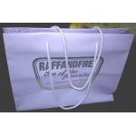 White Small Plastic Handle Bag HDPE Cosmetic Shopping Bag Custom Made for sale