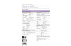 China Steel Veterinary Anesthesia Equipment PCV VG SIMV VG Oxygen Concentrator supplier