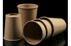 China Natural Compostable Logo Printing Thick Takeaway Coffee Cups Environment Friendly supplier