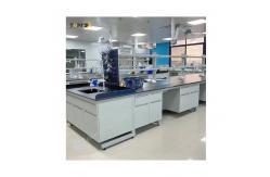 China Heavy Duty Lab Bench With Lockers Shelves Wheels Handles - 200-250 Kg Capacity supplier
