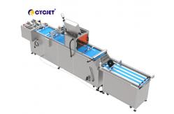China CYCJET CVI 450-VD Automated Visual Inspection Machine For Coding Machine supplier