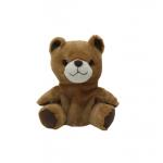 Recording Repeating Educational Plush Toys 0.17M 6.7IN Brown Colour Teddy Bear Polyester for sale
