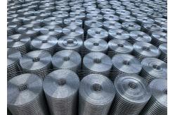 China Galvanized Welded Wire Mesh 1.5mm-3.0mm supplier