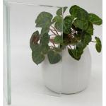 New Hot Items Low Iron Ultra Clear Glass For Building