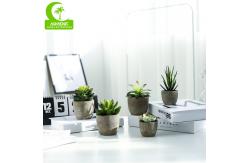 China 16.5cm Mini Artificial Succulents supplier