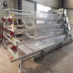 A Type 3-4 Layers Brooding Cages For Chickens , Q235A Galvanized Chicken Cage for sale