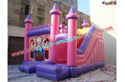 China Funny Inflatable Bouncer Slide , Commercial Children Princess Slides supplier