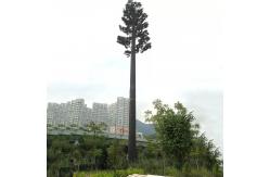 China Microwave Communication Camouflage Monopole Tower Broadcasting / 4g / Cell Phone Signal supplier