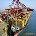 Cargo Duty Included Fast Vessel DDP Sea Shipping To Amazon USA for sale
