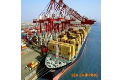 China Cargo Duty Included Fast Vessel DDP Sea Shipping To Amazon USA supplier