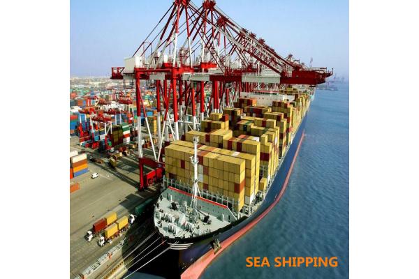 Cargo Duty Included Fast Vessel DDP Sea Shipping To Amazon USA