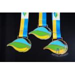 Europe Design Custom Sports Medals Customized Medallion With Lion Logo for sale