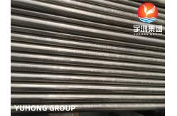 China ASTM B167 UNS NO6601 Nickel Chromium Alloy Seamless Pipe supplier