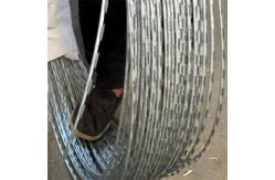 China Galvanized Concertina Razor Wire Cross Coil Double Loops supplier