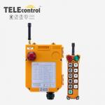F24-10D Remote Control Hoist Crane Telecontrol Wireless Crane Control System for sale