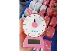 China ABS 12speed rabbit digital count down timer for kids supplier
