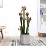 Custom Cactus Ornaments Bonsai Artificial Succulent Plant for sale