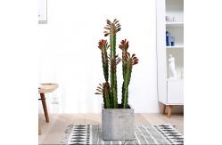 China Custom Cactus Ornaments Bonsai Artificial Succulent Plant supplier