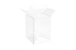 China Biodegradable Hot Stamping Small Clear Plastic Boxes supplier